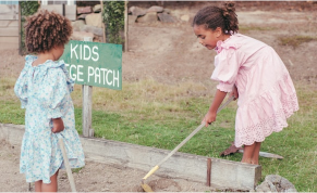 School needs assessment